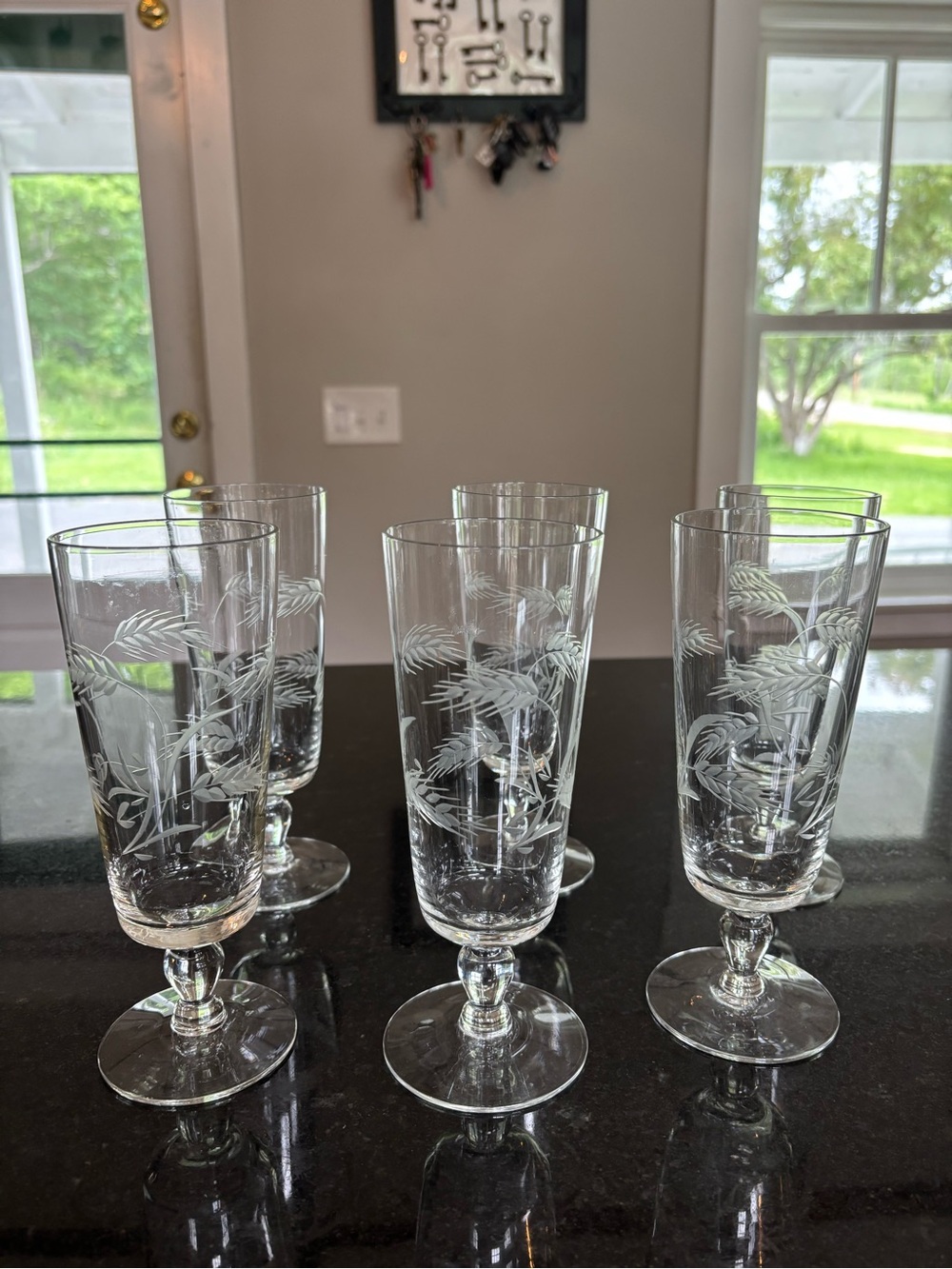 Etched Crystal Goblet Set - Clear Glass Stemware (6 pcs)